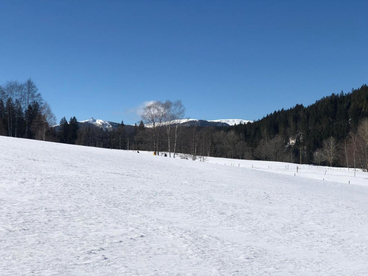 Gaestehaus Lickert Familie Dreher Hinterzarten Εξωτερικό φωτογραφία